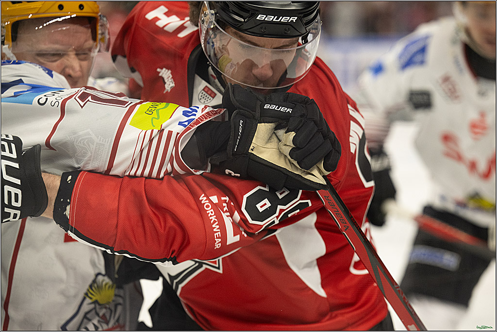 PENNY DEL; Koelner Haie- Fischtown Bremerhaven; Koeln, 18.03.2025