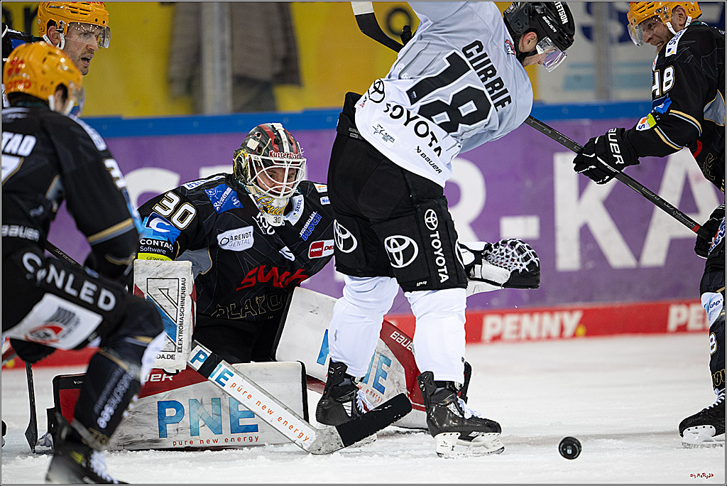 PENNY DEL 1 - Playoff Viertelfinale; Fischtown Pinguins Bremerhaven - Kölner Haie; Bermerhaven, 21.03.2025