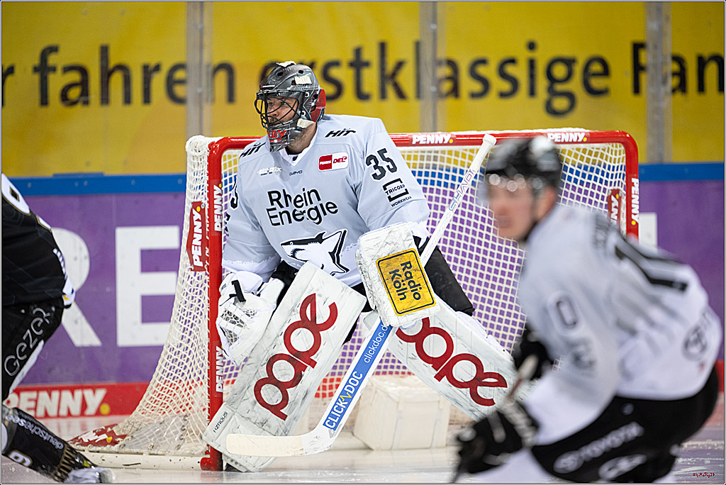 PENNY DEL 1 - Playoff Viertelfinale; Fischtown Pinguins Bremerhaven - Kölner Haie; Bermerhaven, 21.03.2025