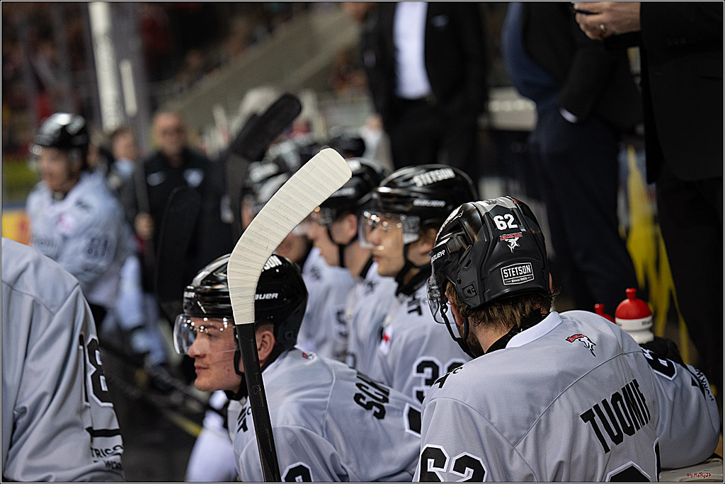 PENNY DEL 1 - Playoff Viertelfinale; Fischtown Pinguins Bremerhaven - Kölner Haie; Bermerhaven, 21.03.2025
