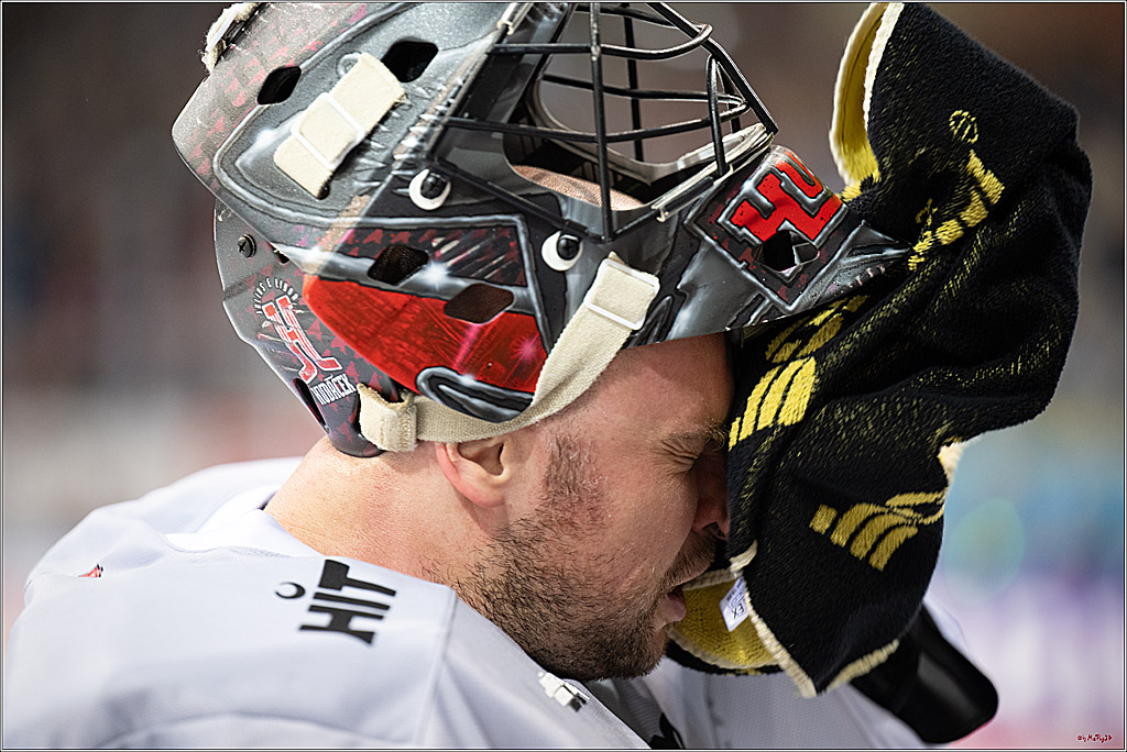 PENNY DEL 1 - Playoff Viertelfinale; Fischtown Pinguins Bremerhaven - Kölner Haie; Bermerhaven, 21.03.2025