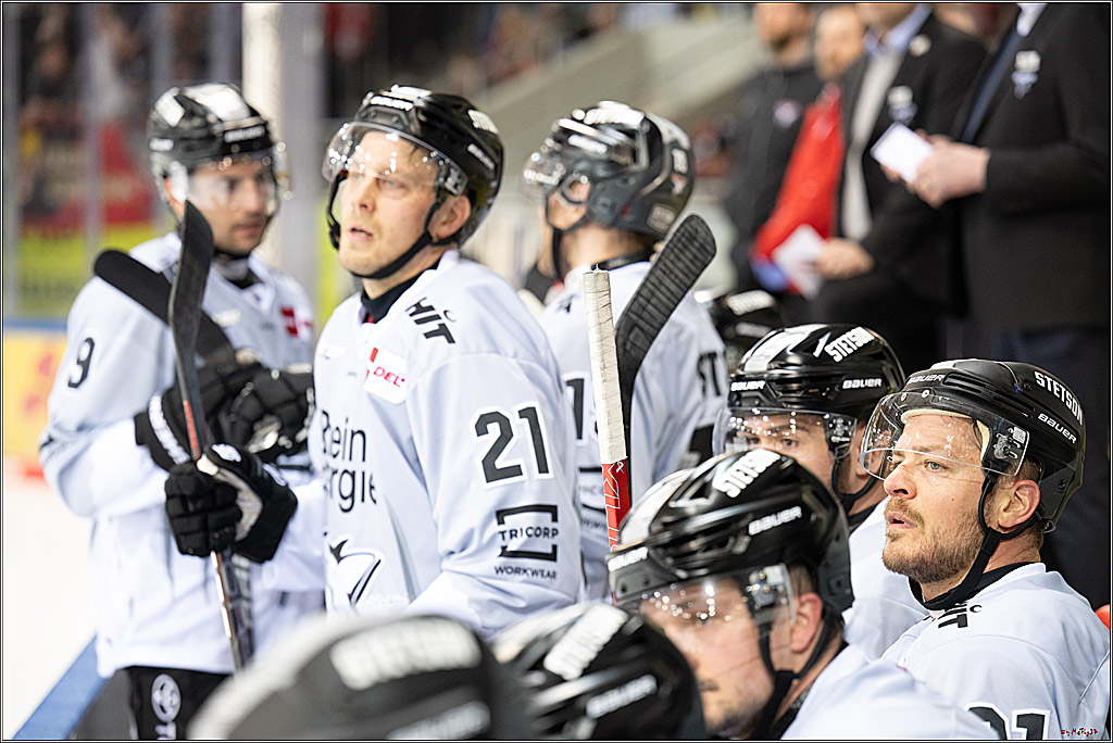 PENNY DEL 1 - Playoff Viertelfinale; Fischtown Pinguins Bremerhaven - Kölner Haie; Bermerhaven, 21.03.2025