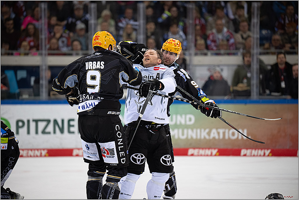 PENNY DEL 1 - Playoff Viertelfinale; Fischtown Pinguins Bremerhaven - Kölner Haie; Bermerhaven, 21.03.2025