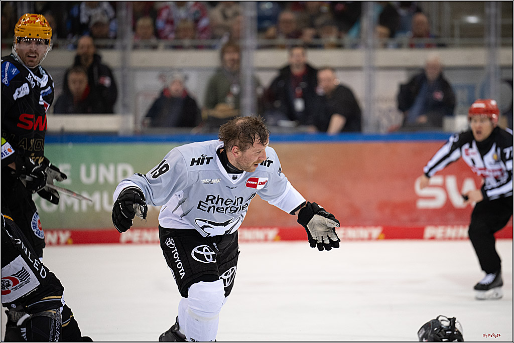 PENNY DEL 1 - Playoff Viertelfinale; Fischtown Pinguins Bremerhaven - Kölner Haie; Bermerhaven, 21.03.2025