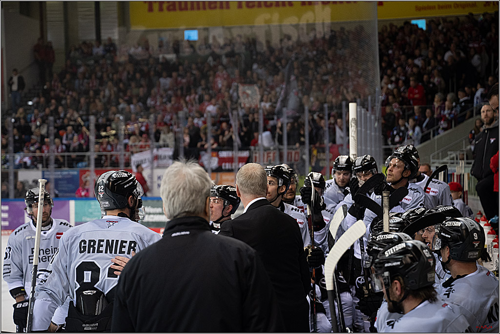 PENNY DEL 1 - Playoff Viertelfinale; Fischtown Pinguins Bremerhaven - Kölner Haie; Bermerhaven, 21.03.2025