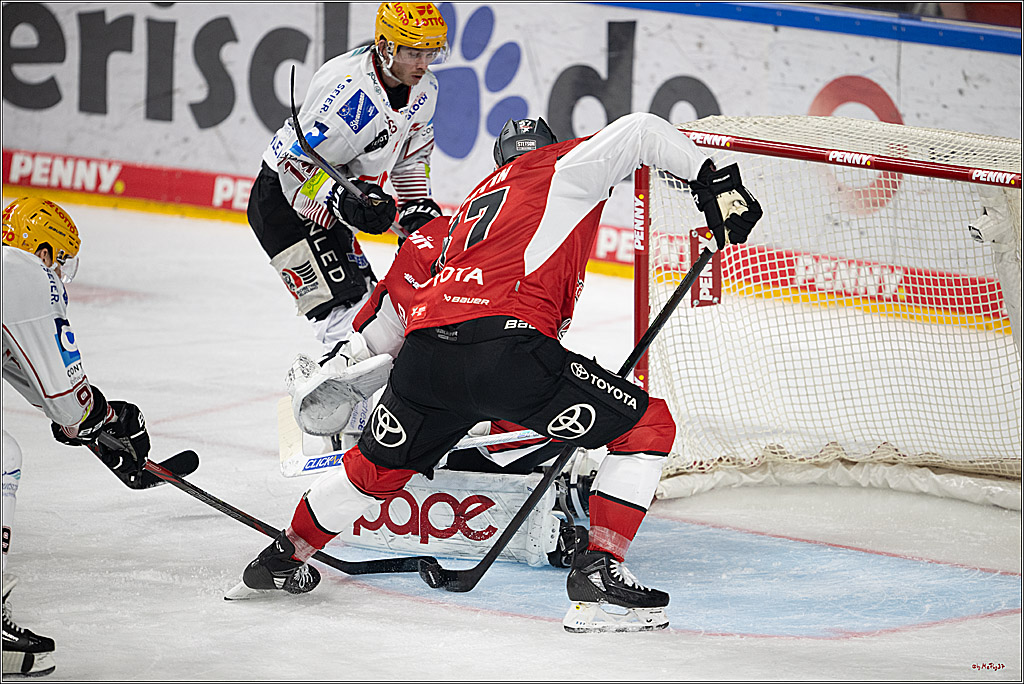 PENNY DEL 1 - Playoff Viertelfinale; Kölner Haie - Fischtown Pinguins Bremerhaven; Köln, 24.03.2025