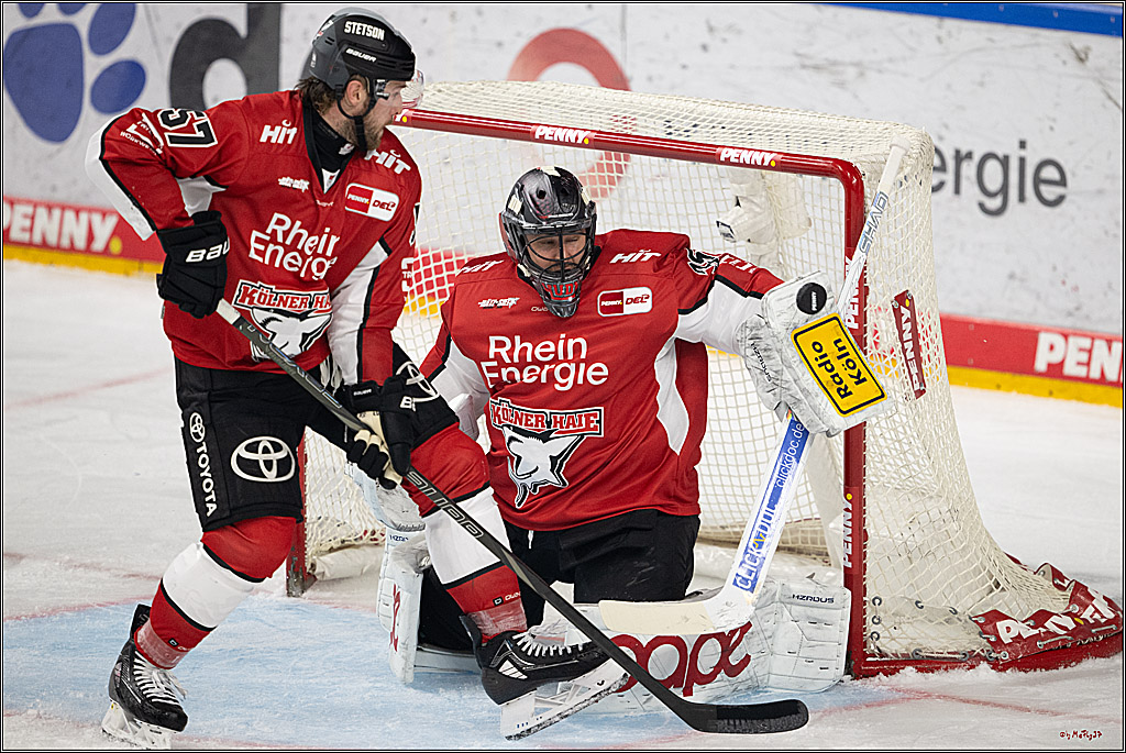PENNY DEL 1 - Playoff Viertelfinale; Kölner Haie - Fischtown Pinguins Bremerhaven; Köln, 24.03.2025