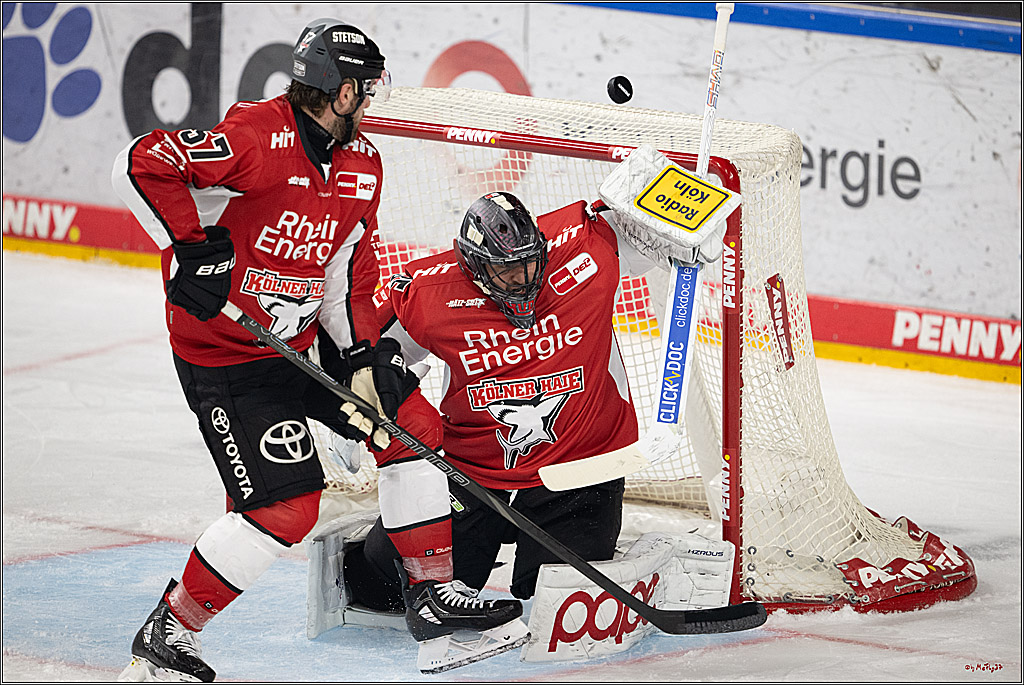 PENNY DEL 1 - Playoff Viertelfinale; Kölner Haie - Fischtown Pinguins Bremerhaven; Köln, 24.03.2025