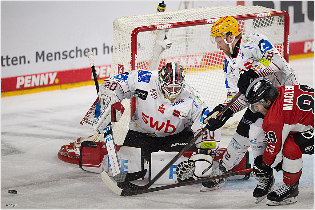 PENNY DEL 1 - Playoff Viertelfinale; Kölner Haie - Fischtown Pinguins Bremerhaven; Köln, 24.03.2025