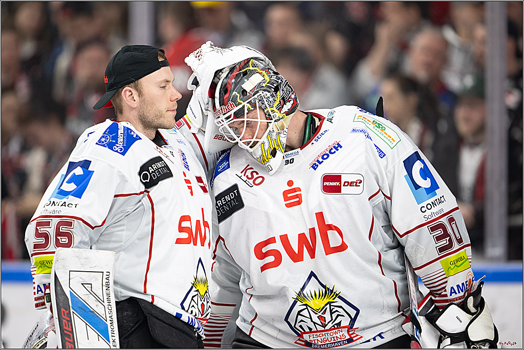 PENNY DEL 1 - Playoff Viertelfinale; Kölner Haie - Fischtown Pinguins Bremerhaven; Köln, 24.03.2025
