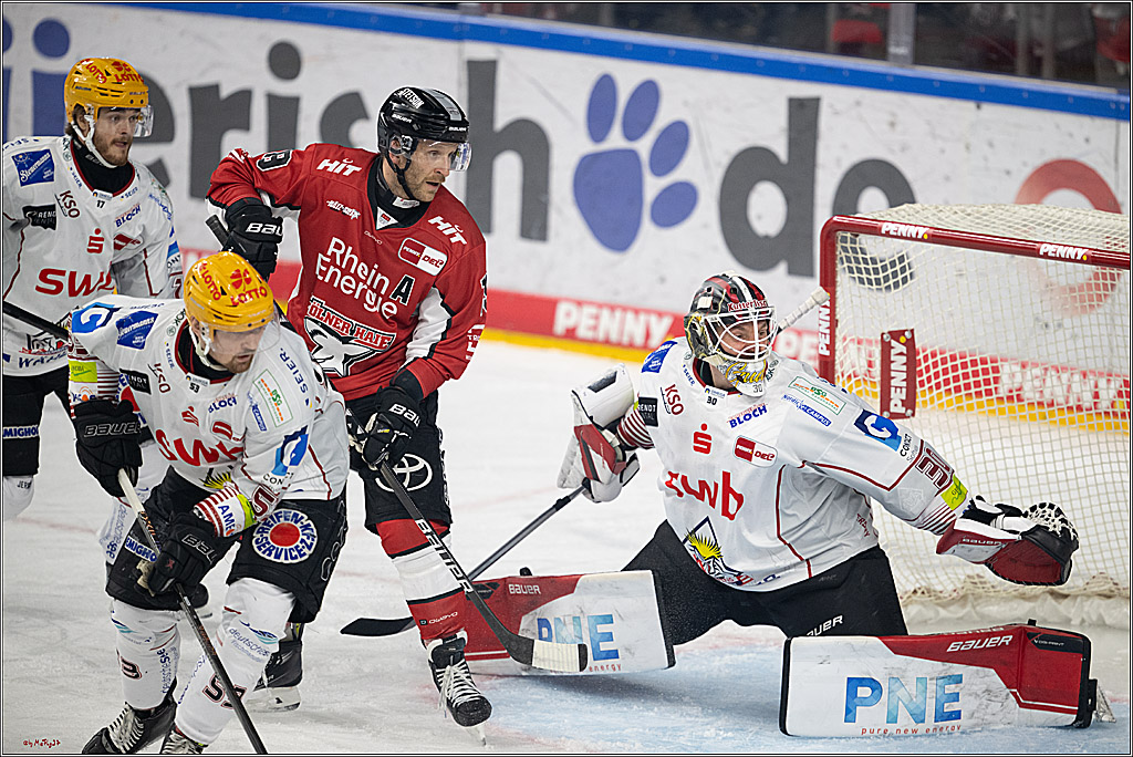 PENNY DEL 1 - Playoff Viertelfinale; Kölner Haie - Fischtown Pinguins Bremerhaven; Köln, 24.03.2025
