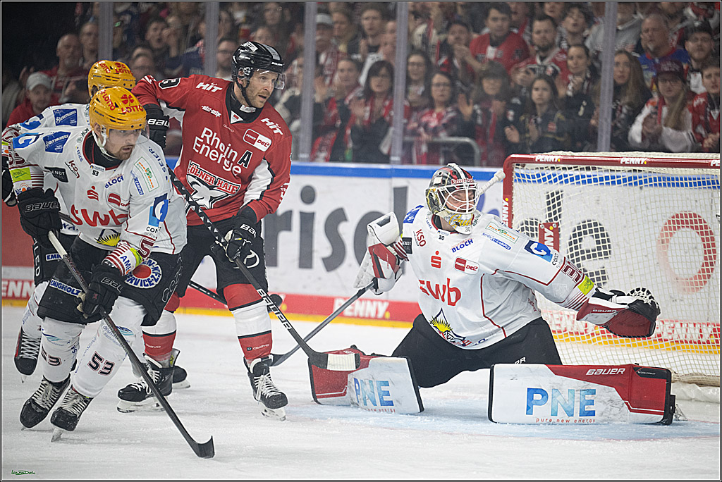 PENNY DEL 1 - Playoff Viertelfinale; Kölner Haie - Fischtown Pinguins Bremerhaven; Köln, 24.03.2025