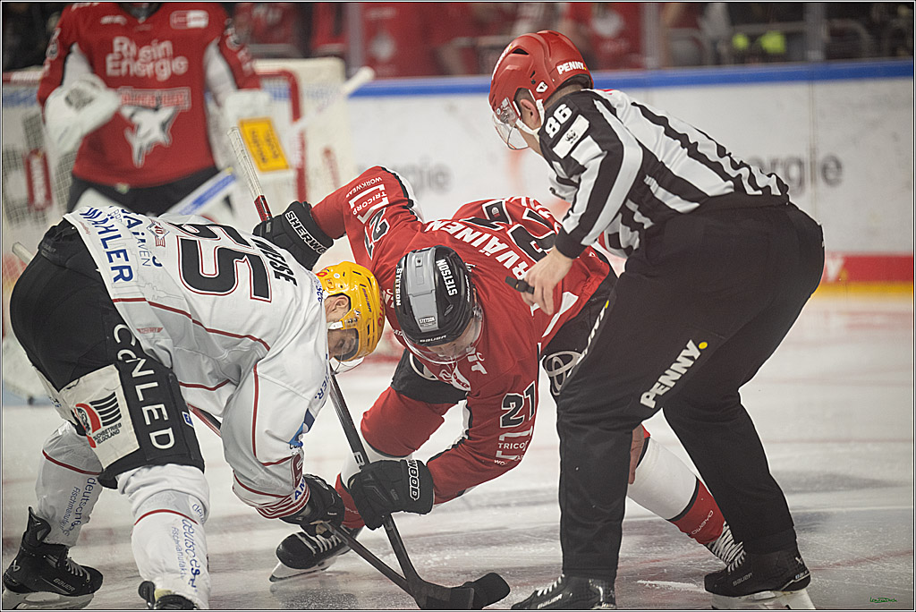 PENNY DEL 1 - Playoff Viertelfinale; Kölner Haie - Fischtown Pinguins Bremerhaven; Köln, 24.03.2025
