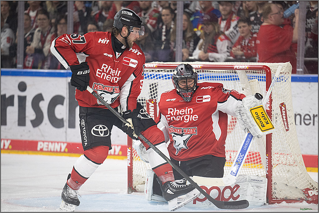 PENNY DEL 1 - Playoff Viertelfinale; Kölner Haie - Fischtown Pinguins Bremerhaven; Köln, 24.03.2025