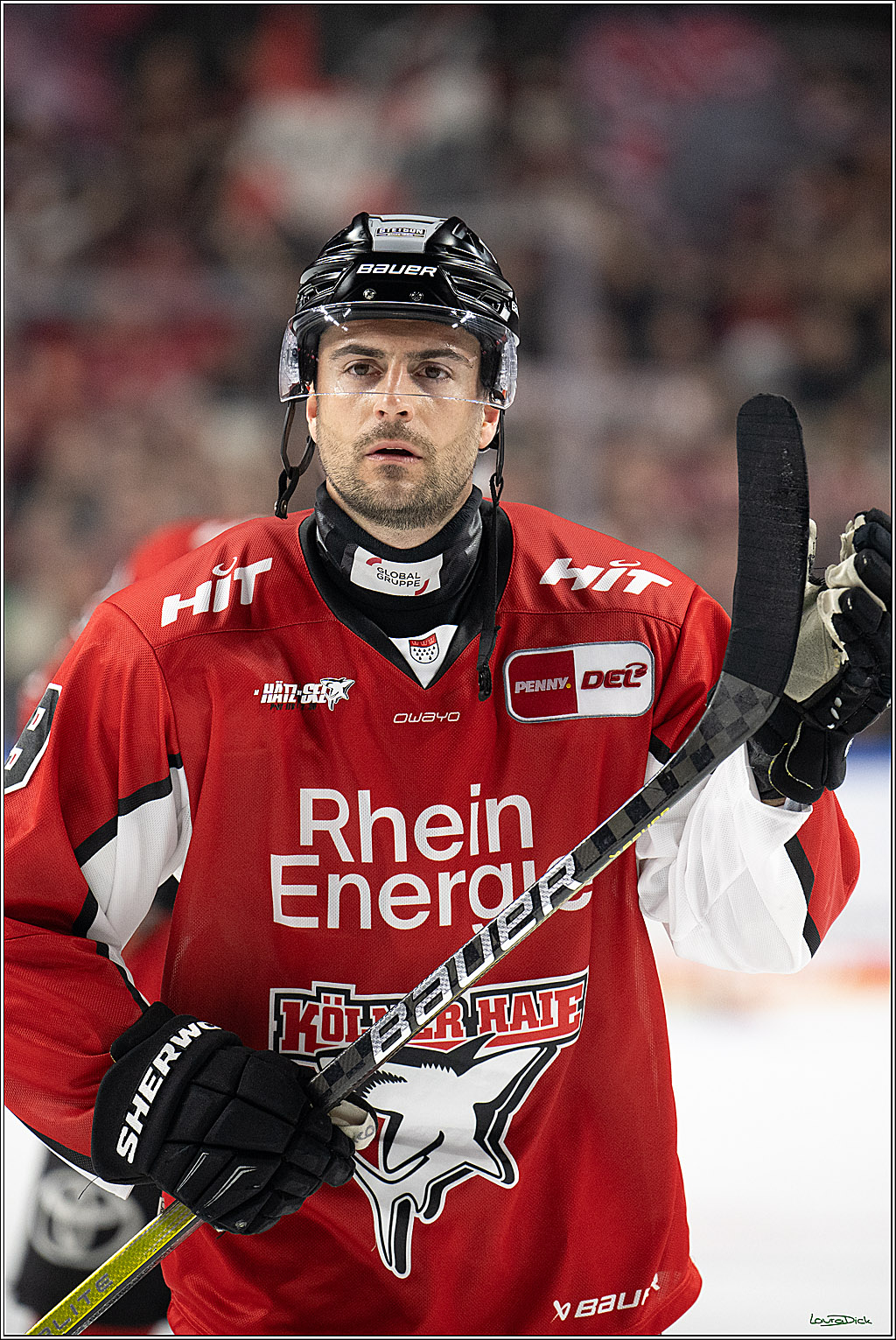 PENNY DEL; Koelner Haie- Fischtown Bremerhaven; Koeln, 24.03.2025