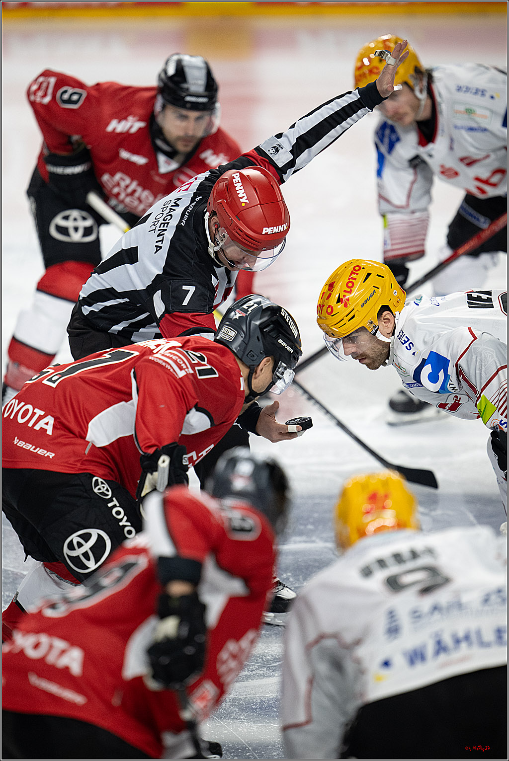 PENNY DEL 1 - Playoff Viertelfinale; Kölner Haie - Fischtown Pinguins Bremerhaven; Köln, 28.03.2025