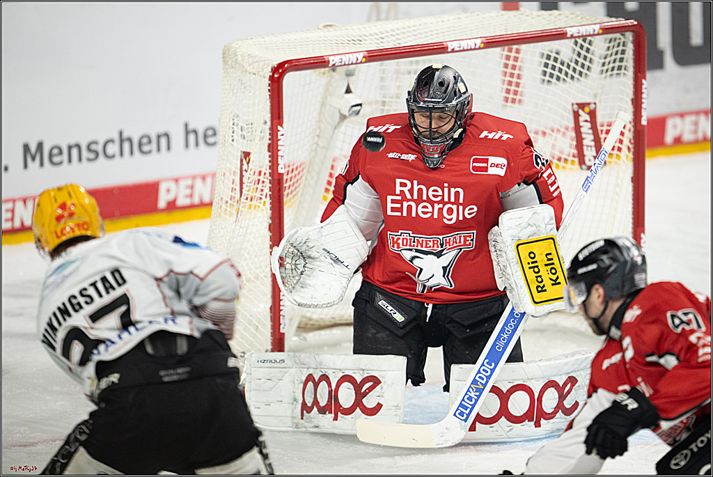 PENNY DEL 1 - Playoff Viertelfinale; Kölner Haie - Fischtown Pinguins Bremerhaven; Köln, 28.03.2025