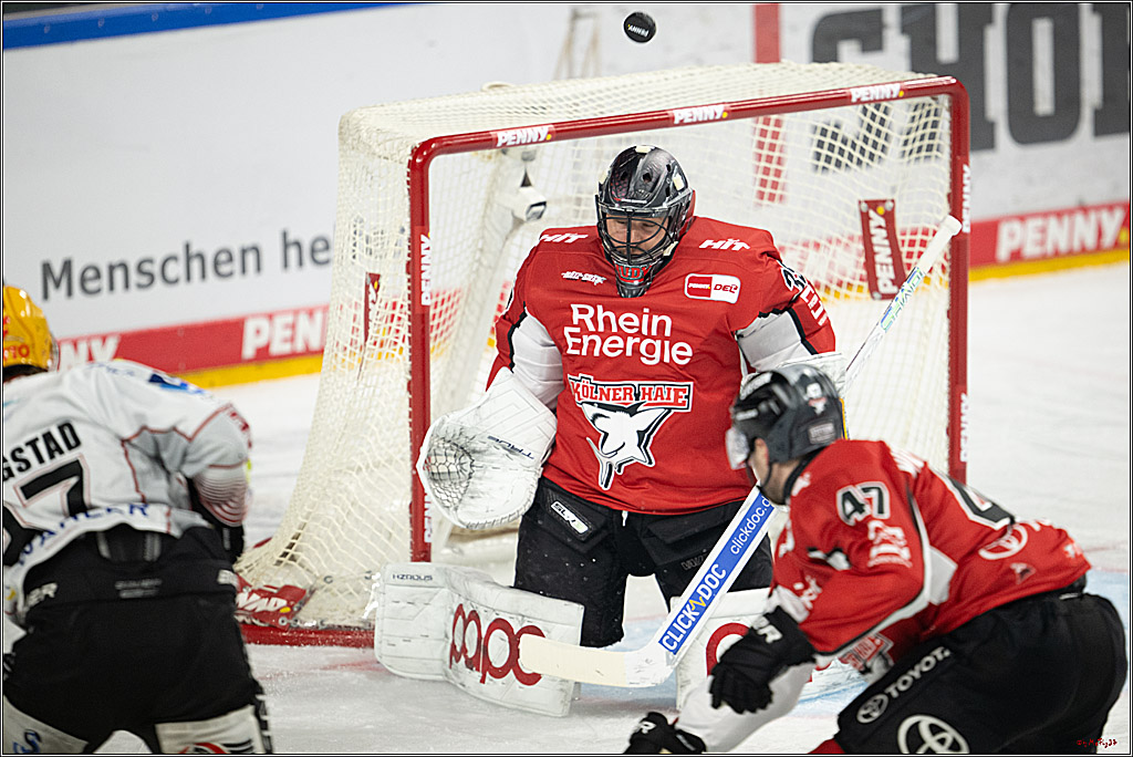 PENNY DEL 1 - Playoff Viertelfinale; Kölner Haie - Fischtown Pinguins Bremerhaven; Köln, 28.03.2025