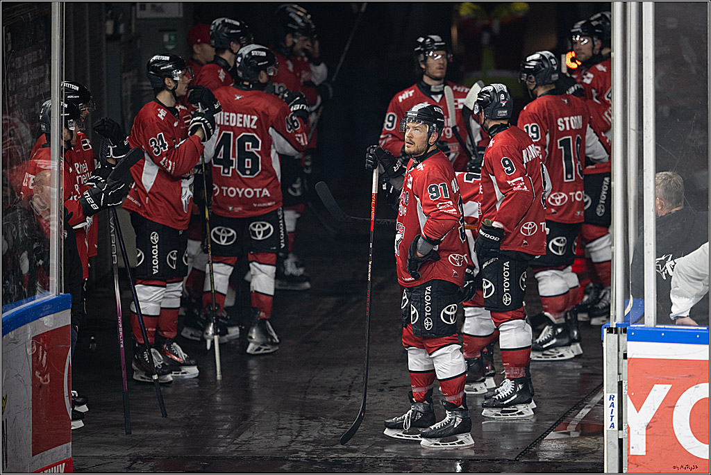 PENNY DEL 1 - Playoff Viertelfinale; Kölner Haie - Fischtown Pinguins Bremerhaven; Köln, 28.03.2025