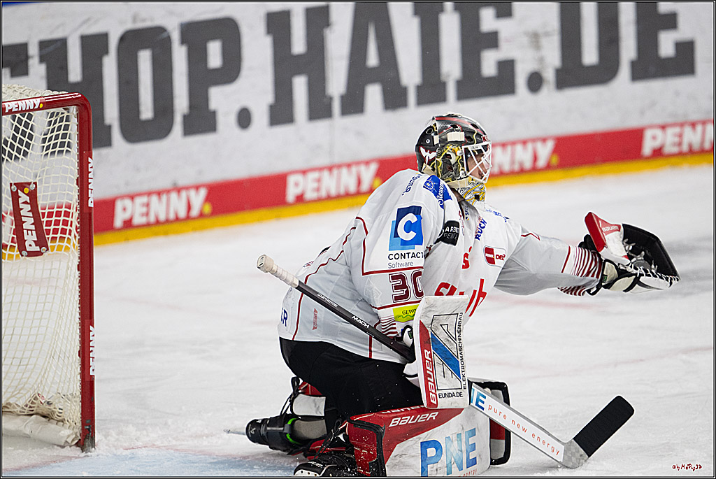 PENNY DEL 1 - Playoff Viertelfinale; Kölner Haie - Fischtown Pinguins Bremerhaven; Köln, 28.03.2025