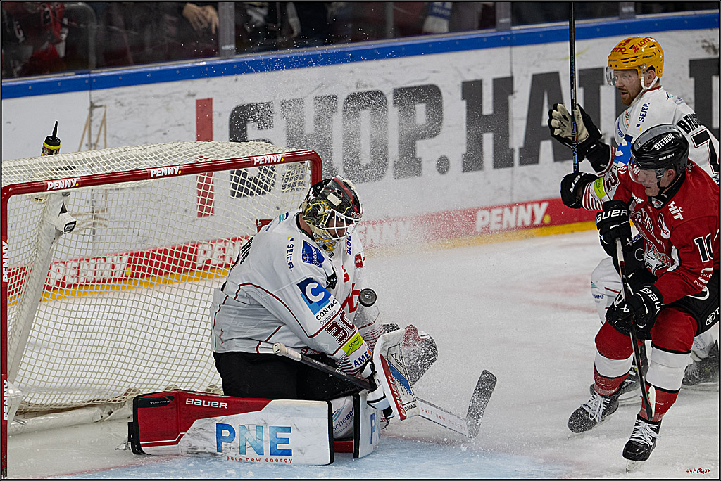 PENNY DEL 1 - Playoff Viertelfinale; Kölner Haie - Fischtown Pinguins Bremerhaven; Köln, 28.03.2025
