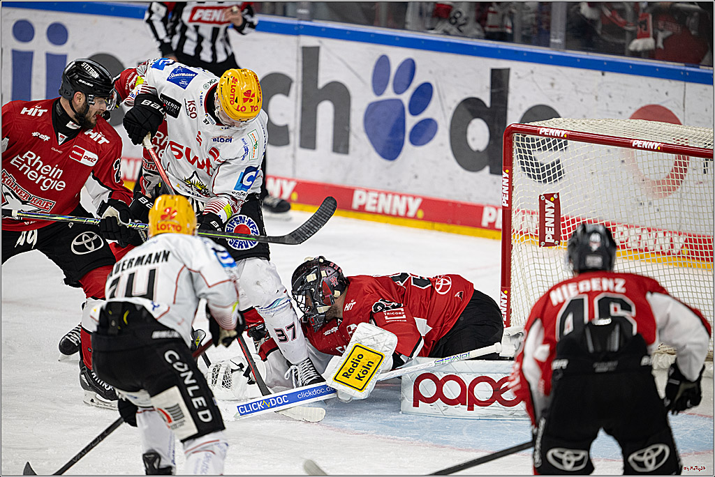 PENNY DEL 1 - Playoff Viertelfinale; Kölner Haie - Fischtown Pinguins Bremerhaven; Köln, 28.03.2025