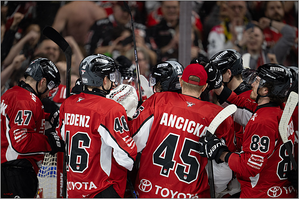 PENNY DEL 1 - Playoff Viertelfinale; Kölner Haie - Fischtown Pinguins Bremerhaven; Köln, 28.03.2025