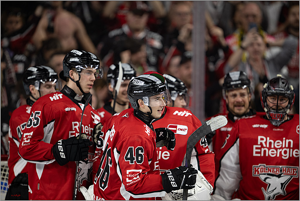 PENNY DEL 1 - Playoff Viertelfinale; Kölner Haie - Fischtown Pinguins Bremerhaven; Köln, 28.03.2025