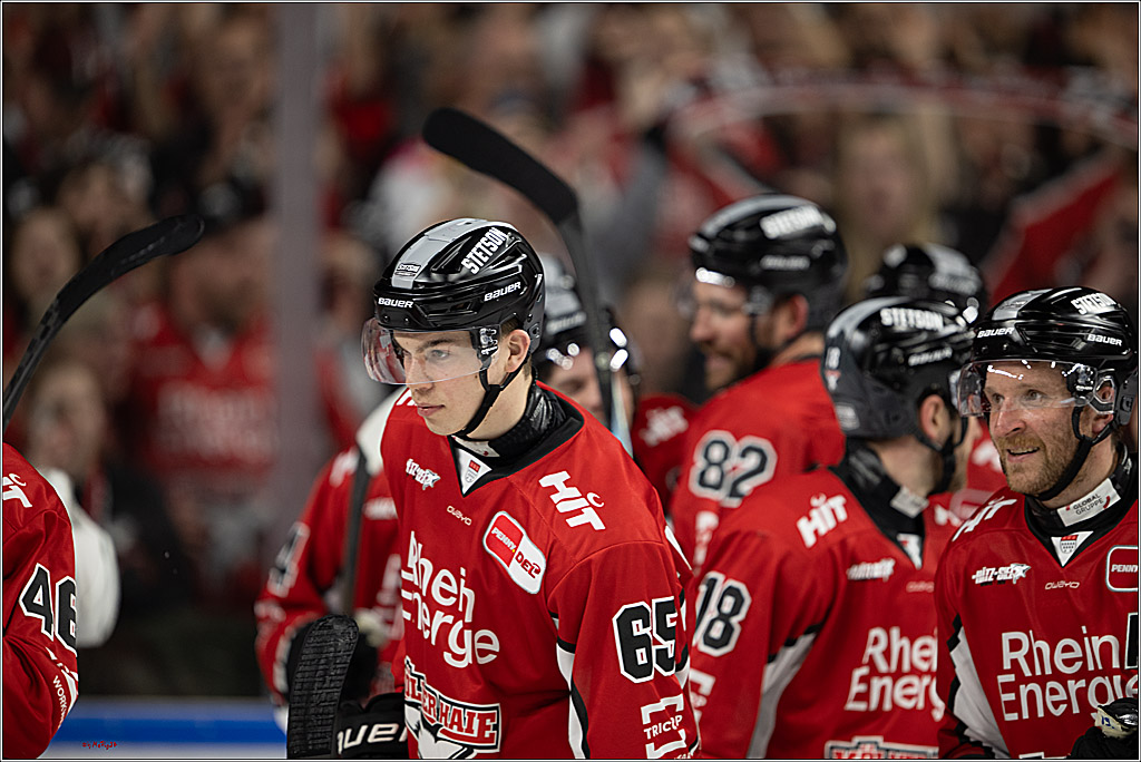 PENNY DEL 1 - Playoff Viertelfinale; Kölner Haie - Fischtown Pinguins Bremerhaven; Köln, 28.03.2025