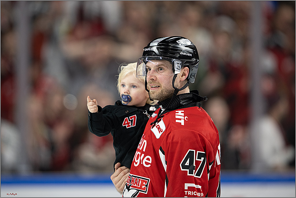 PENNY DEL 1 - Playoff Viertelfinale; Kölner Haie - Fischtown Pinguins Bremerhaven; Köln, 28.03.2025