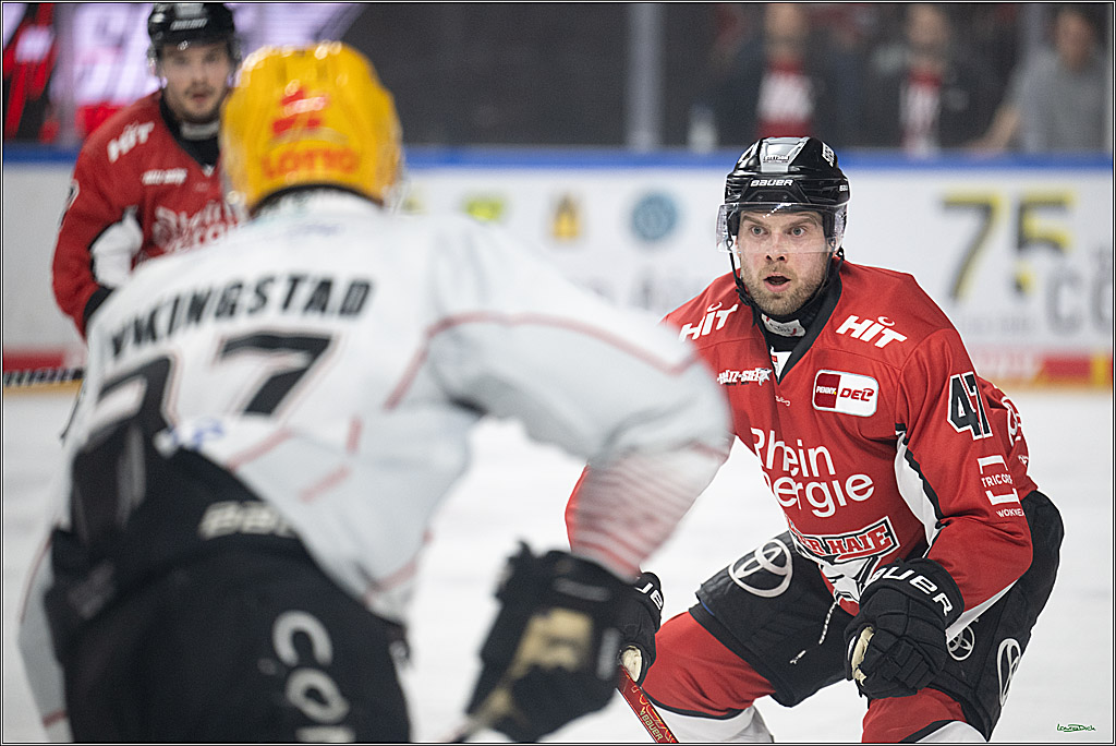 PENNY DEL 1 - Playoff Viertelfinale; Kölner Haie - Fischtown Pinguins Bremerhaven; Köln, 28.03.2025