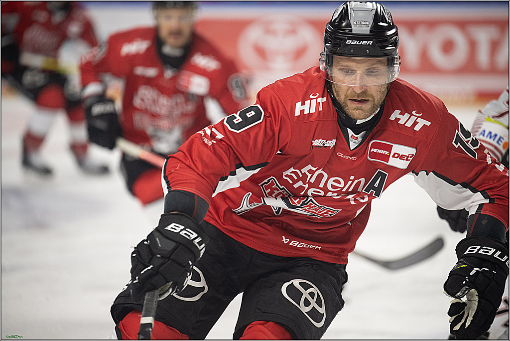 PENNY DEL 1 - Playoff Viertelfinale; Kölner Haie - Fischtown Pinguins Bremerhaven; Köln, 28.03.2025