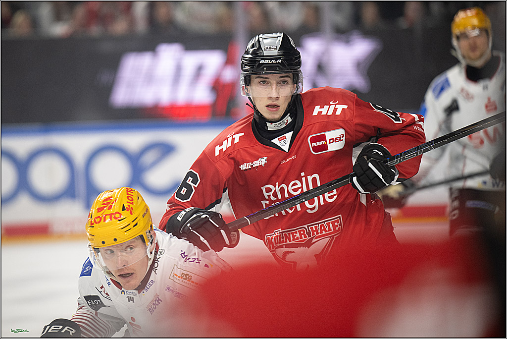 PENNY DEL 1 - Playoff Viertelfinale; Kölner Haie - Fischtown Pinguins Bremerhaven; Köln, 28.03.2025