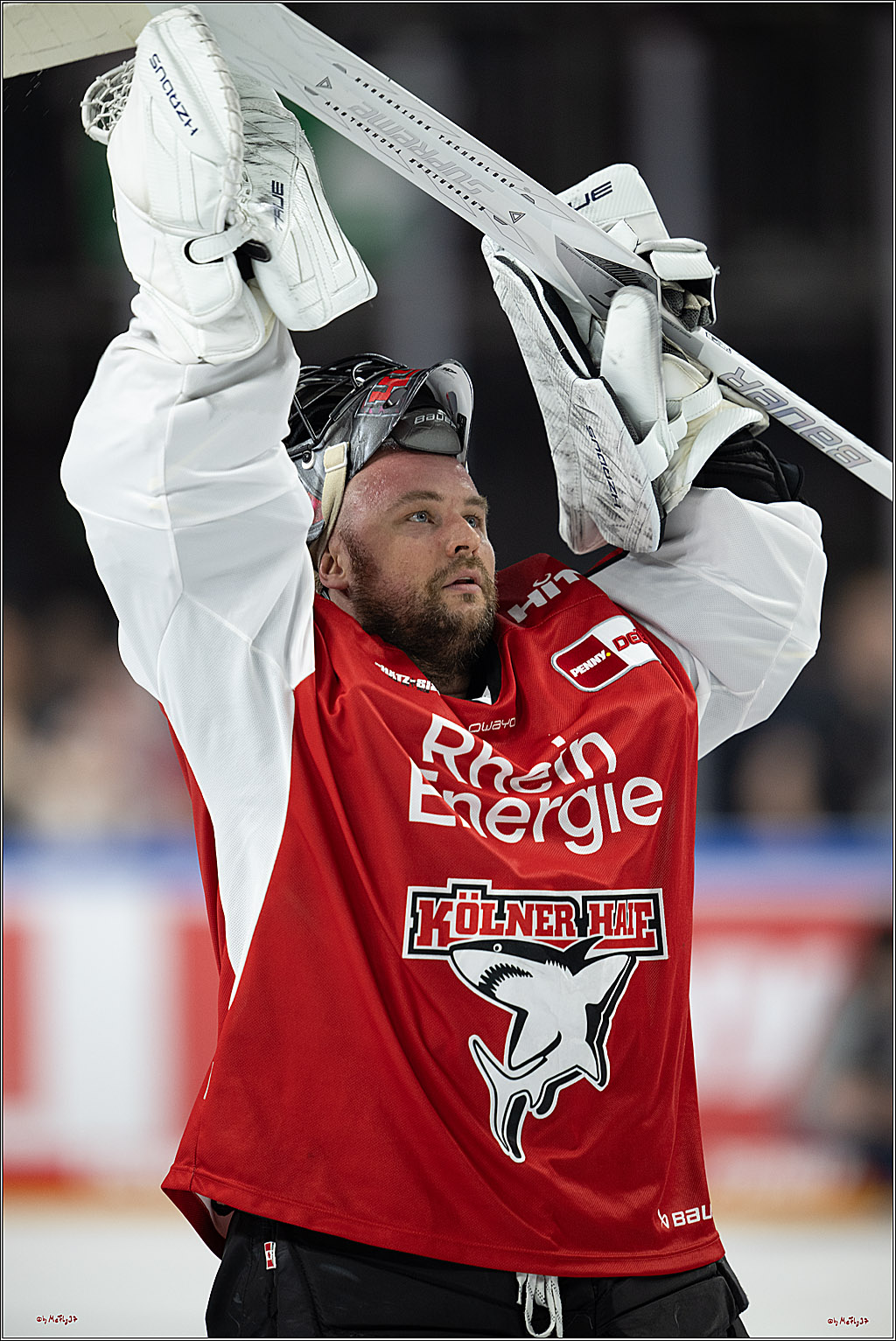 PENNY DEL 1 - Playoff Halbfinale; Kölner Haie - ERC Ingolstadt; Köln, 04.04.2025