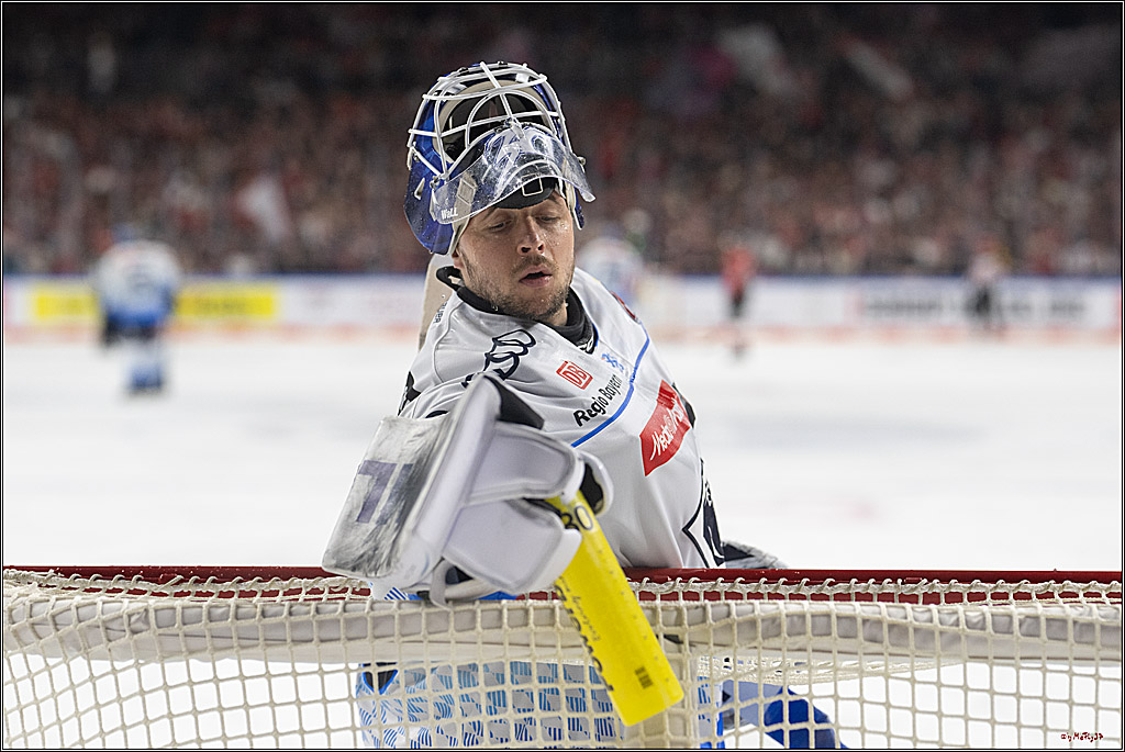 PENNY DEL 1 - Playoff Halbfinale; Kölner Haie - ERC Ingolstadt; Köln, 04.04.2025