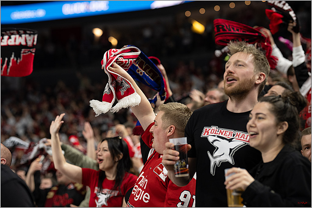 PENNY DEL 1 - Playoff Halbfinale; Kölner Haie - ERC Ingolstadt; Köln, 04.04.2025