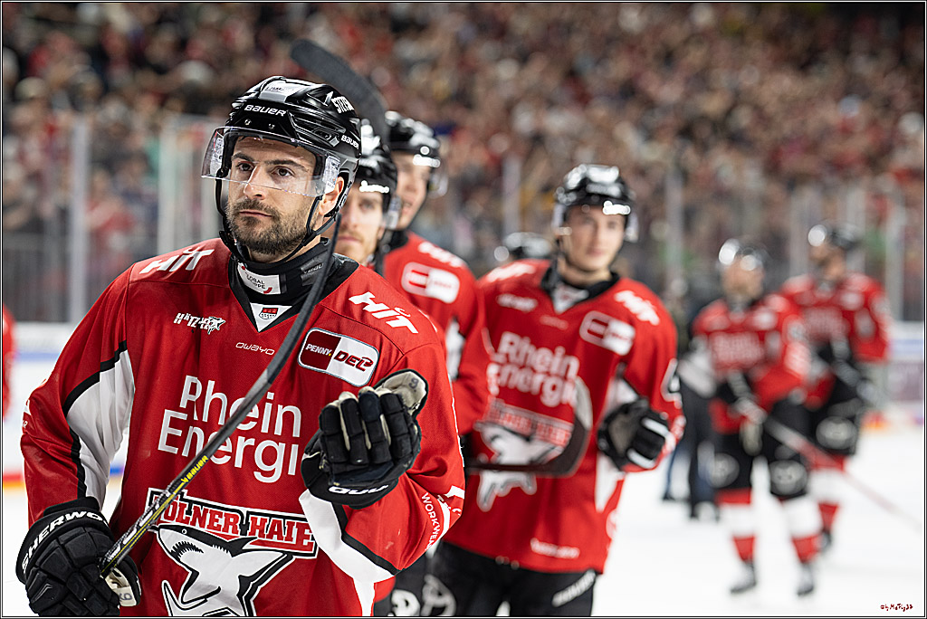 PENNY DEL 1 - Playoff Halbfinale; Kölner Haie - ERC Ingolstadt; Köln, 04.04.2025