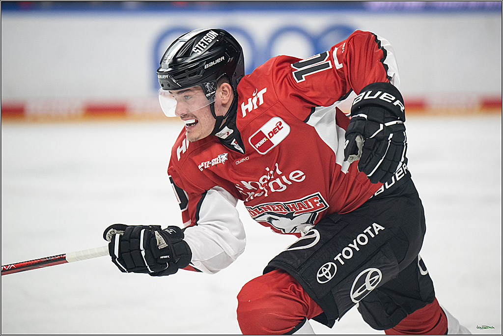 PENNY DEL 1 - Playoff Halbfinale; Kölner Haie - ERC Ingolstadt; Köln, 04.04.2025