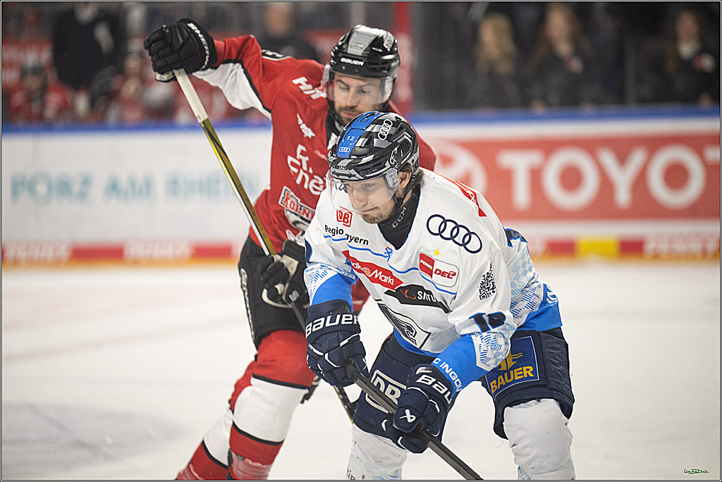PENNY DEL 1 - Playoff Halbfinale; Kölner Haie - ERC Ingolstadt; Köln, 04.04.2025