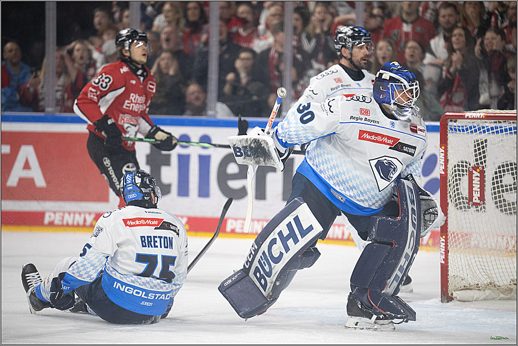 PENNY DEL 1 - Playoff Halbfinale; Kölner Haie - ERC Ingolstadt; Köln, 04.04.2025