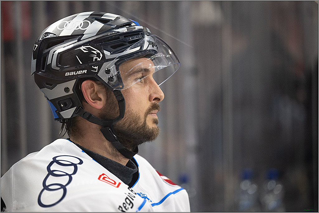 PENNY DEL; Koelner Haie- ERC Ingolstadt; Koeln, 04.04.2025