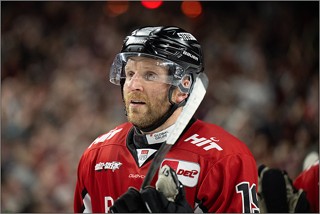 PENNY DEL; Koelner Haie- ERC Ingolstadt; Koeln, 04.04.2025
