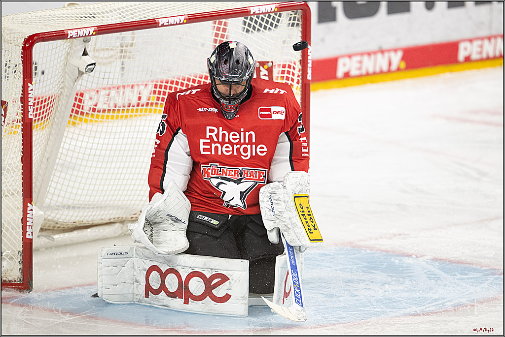 PENNY DEL 1 - Playoff Halbfinale; Kölner Haie - ERC Ingolstadt; Köln, 09.04.2025