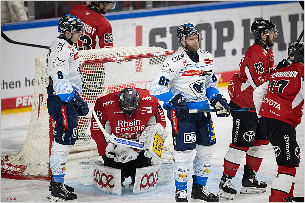 PENNY DEL 1 - Playoff Halbfinale; Kölner Haie - ERC Ingolstadt; Köln, 09.04.2025