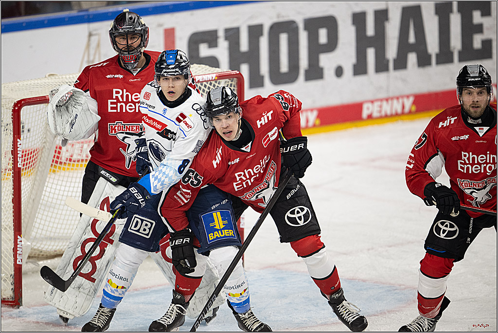 PENNY DEL 1 - Playoff Halbfinale; Kölner Haie - ERC Ingolstadt; Köln, 09.04.2025