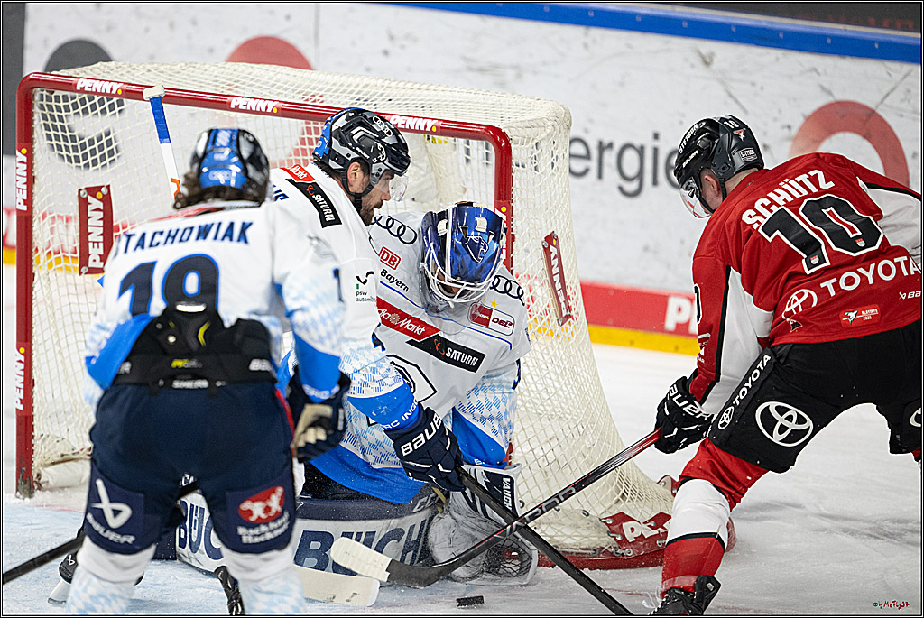 PENNY DEL 1 - Playoff Halbfinale; Kölner Haie - ERC Ingolstadt; Köln, 09.04.2025