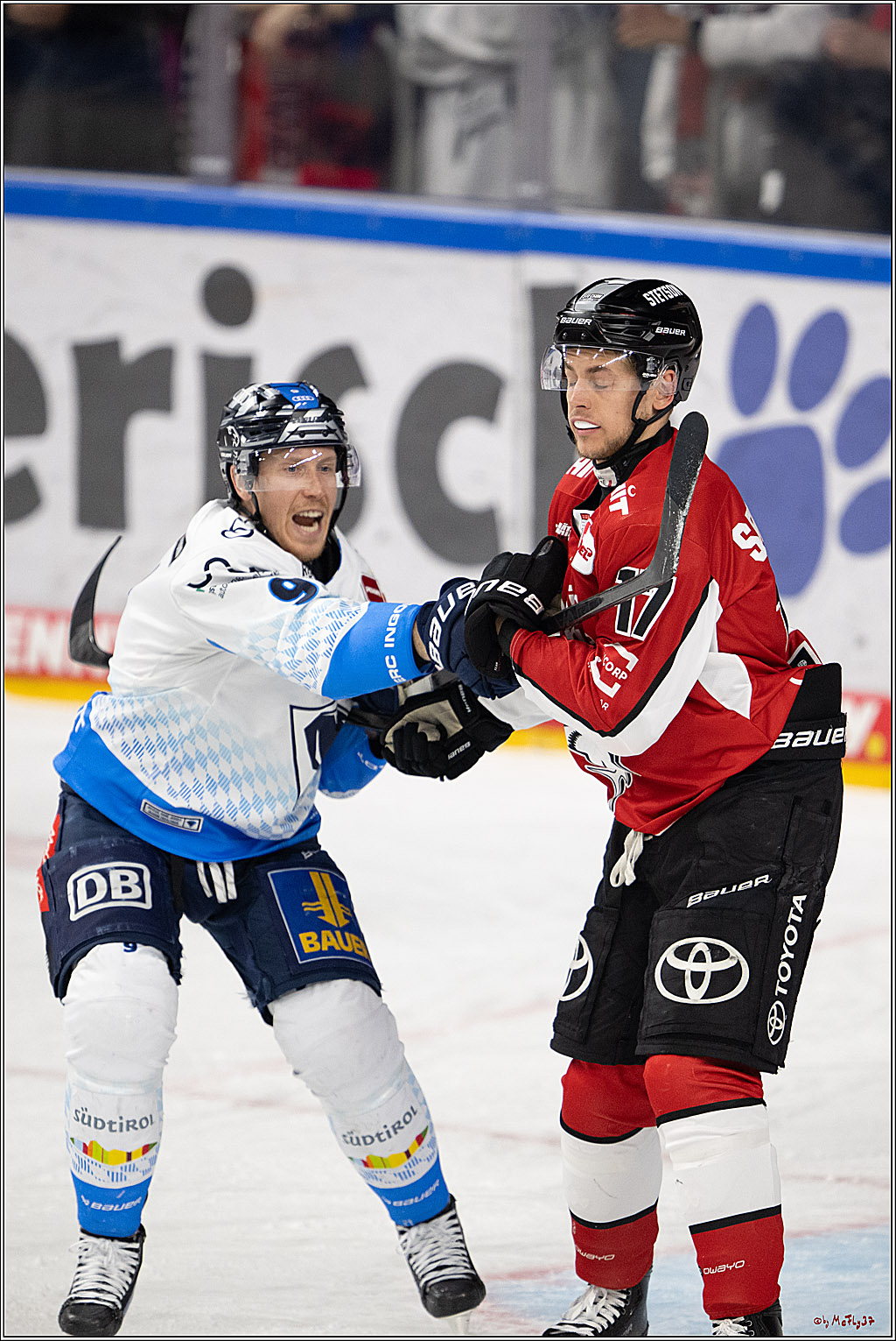 PENNY DEL 1 - Playoff Halbfinale; Kölner Haie - ERC Ingolstadt; Köln, 09.04.2025