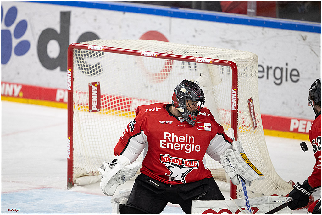 PENNY DEL 1 - Playoff Halbfinale; Kölner Haie - ERC Ingolstadt; Köln, 09.04.2025