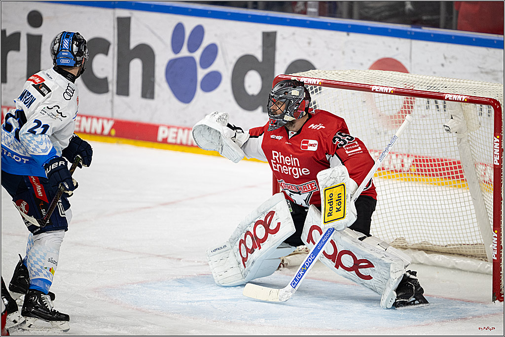 PENNY DEL 1 - Playoff Halbfinale; Kölner Haie - ERC Ingolstadt; Köln, 09.04.2025