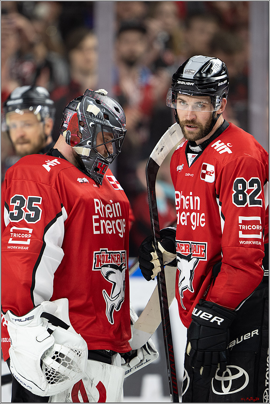 PENNY DEL 1 - Playoff Halbfinale; Kölner Haie - ERC Ingolstadt; Köln, 09.04.2025